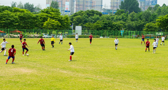 잔디축구장(A)