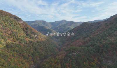 안내영상 이미지